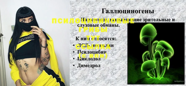 прущие крисы Надым