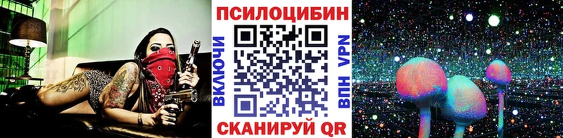 Галлюциногенные грибы MAGIC MUSHROOMS  цены наркотик  Калининград 