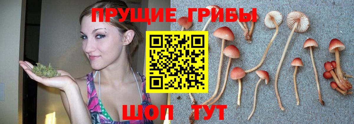 Псилоцибиновые грибы ЛСД Калининград