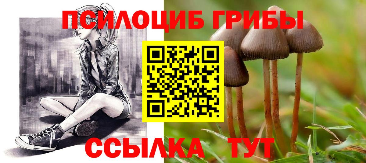 Калининград  Псилоцибиновые грибы Magic Shrooms  Вход с VPN  Галлюциногенные грибы Psilocybine cubensis 